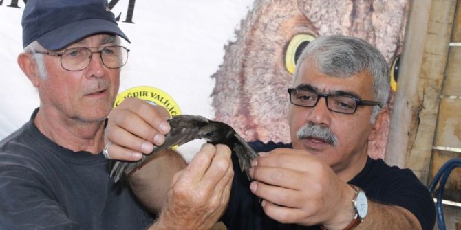 10 Mayıs Dünya Göçmen Kuşlar Günü