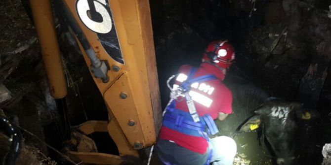 İtfaiye Ekipleri Kuyuya Düşen İnek İçin Seferber Oldular
