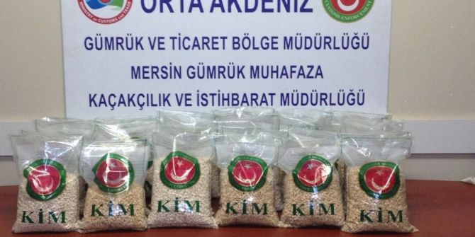 Süs Havuzları İçerisinde 7 Milyon Liralık Uyuşturucu Hap Ele Geçirildi