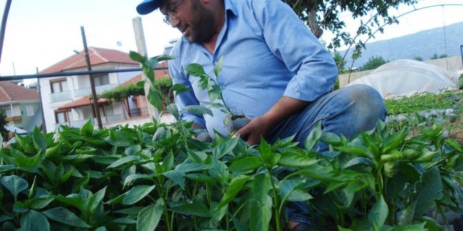 Emcelli Biberini Genç Kuşak Yaşatmaya Çalışıyor