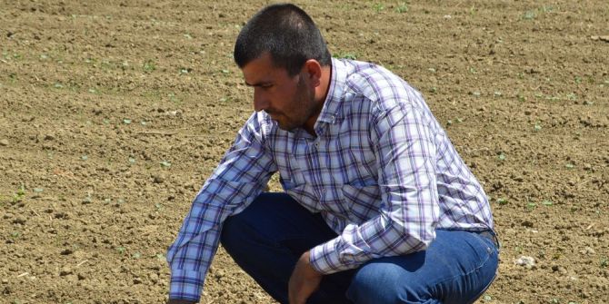 Üretici Yeniden Pamuğa Yöneldi