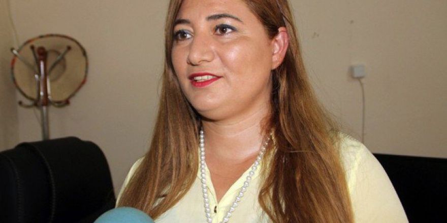 Kadın Havacı Üsteğmen Sahte Evraklarla Ordudan Uzaklaştırıldığını İddia Etti