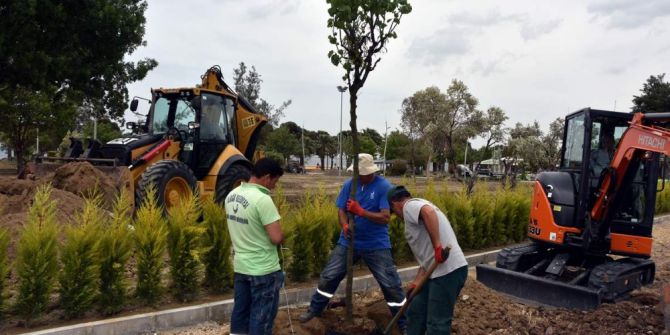 Aliağa Erguvan Ağaçlarıyla Süsleniyor