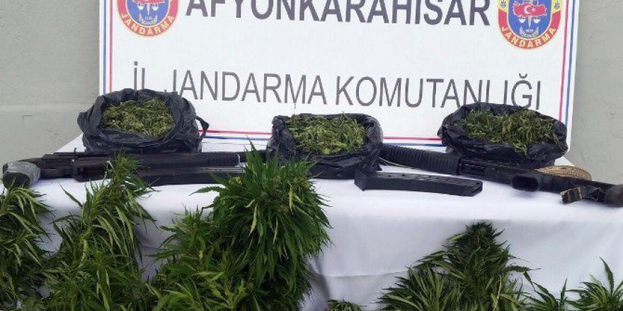 Evinin Bahçesine Hint Keneviri Eken Şahıs Jandarma Tarafından Yakalandı