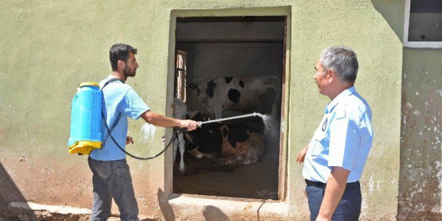 Gölbaşı Belediyesi İlaçlama Çalışmalarını Sürdürüyor