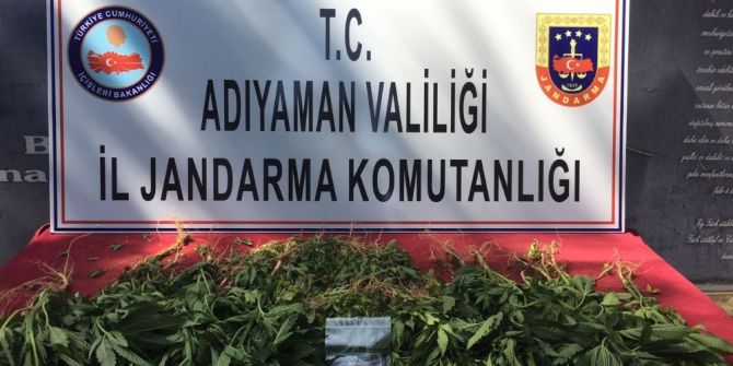 Jandarma Uyuşturucuya Geçit Vermiyor