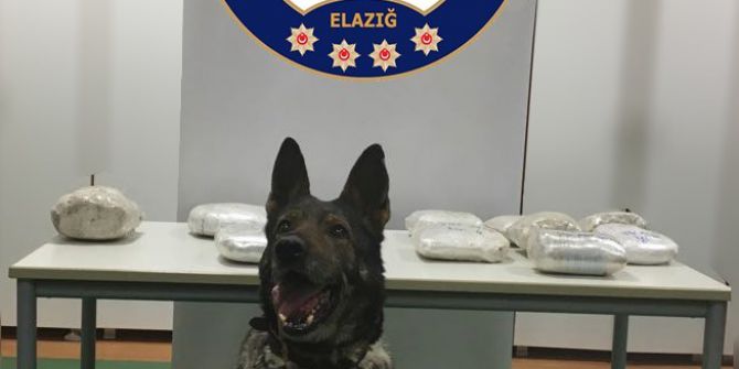 Otomobilin Kapılarına Zulalanmış 15 Kilo Esrar Ele Geçirildi