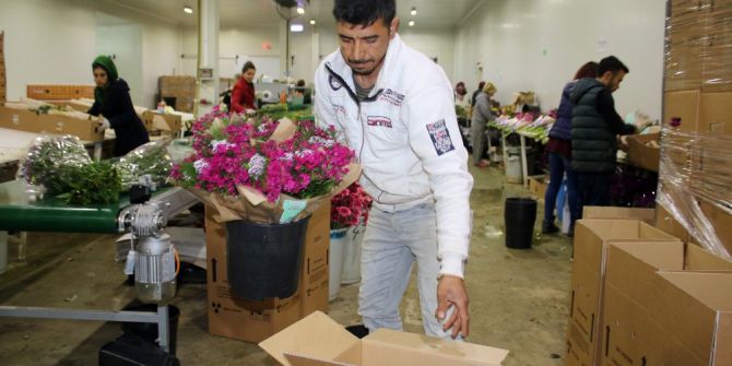 Çiçekçilerin Gözü Süpermarketlerde