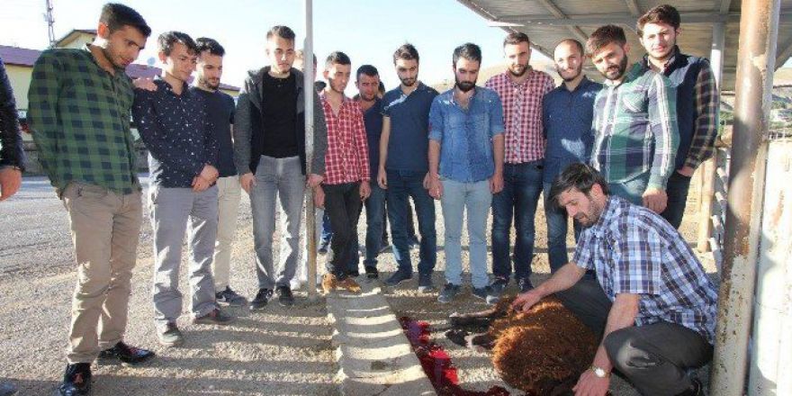 Bayburtlu Gençler Harçlıklarıyla Kurban Kesip İhtiyaç Sahiplerine Dağıttı