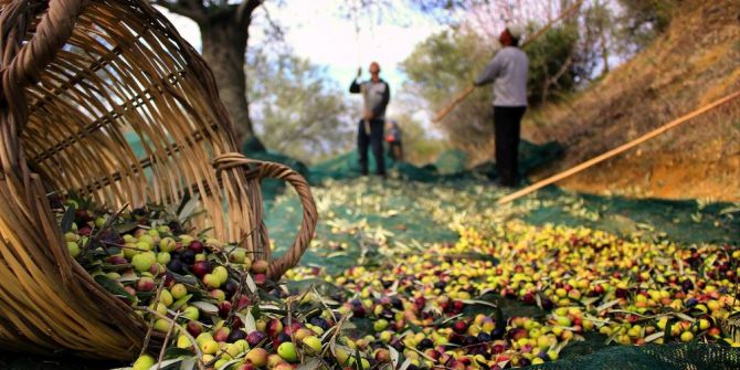 Mübadele Öyküleri Yarışması Sonuçlandı