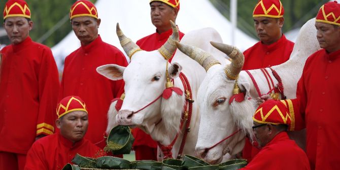 Tayland’da Müslümanlar Çocuklarını Sünnet Ettirdi
