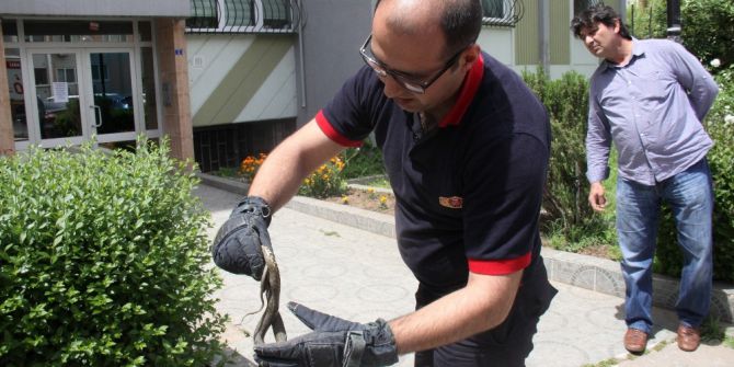 Yeşil Alana Giren Yılan İtfaiye Ekiplerini Harekete Geçirdi