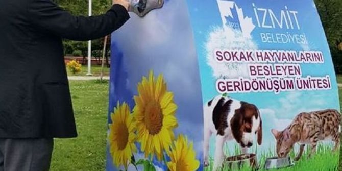 İzmit’te Sahipsiz Hayvanlar İçin Çalışmalar Sürecek