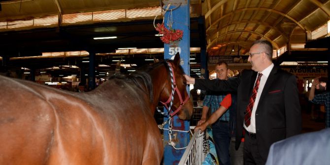 Çobanlar Karacabey’de Buluştu