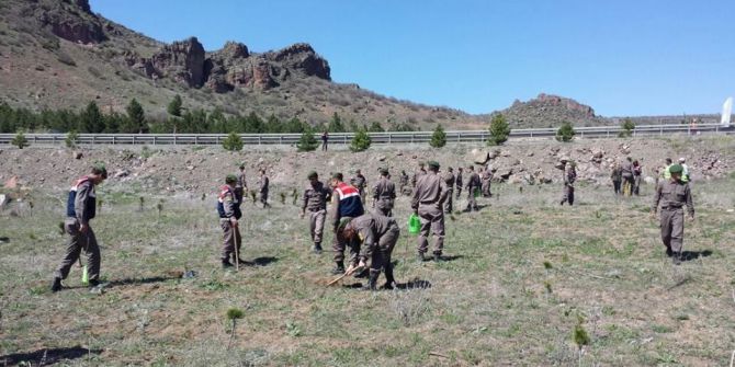 Kütahya Jandarması 300 Fidan Dikti