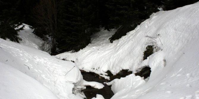 Uludağ’daki Kızak Faciasında Savcı Annenin Beraatını Talep Etti