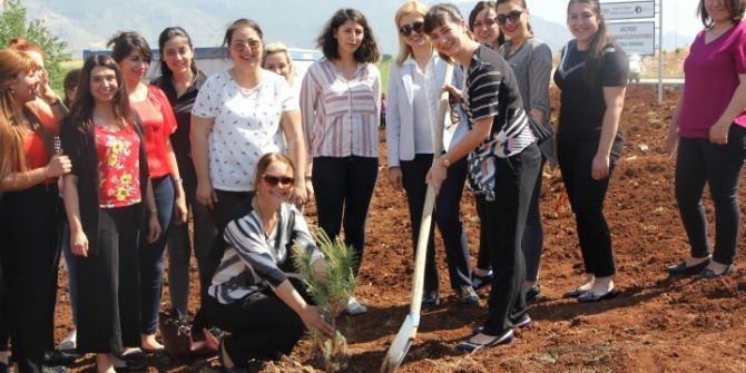 Kadın Sanayiciler Fidan Dikti