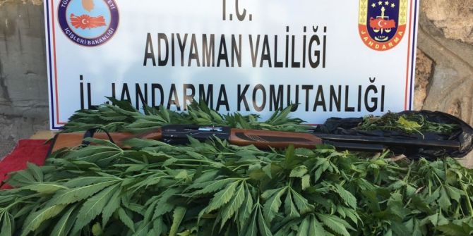 Jandarma Uyuşturucu İle Mücadeleyi Sürdürüyor