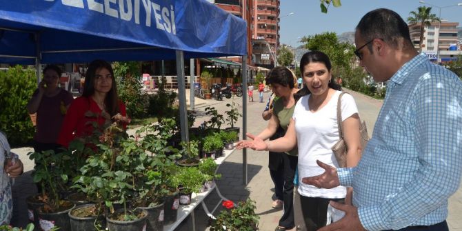 Kozan’da Anneler Gününde Kadınlara Gül Dağıtıldı