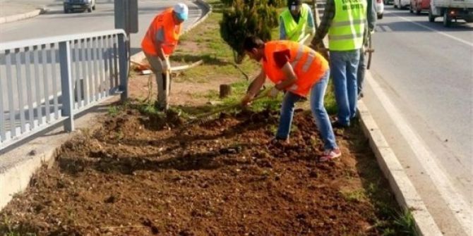 Tunceli’de Çiçeklendirme Çalışması