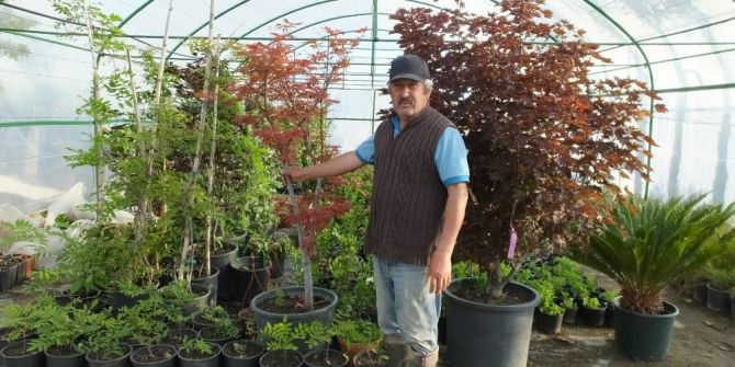 Şeker Hastalığını Bitki Yetiştirerek Yendi