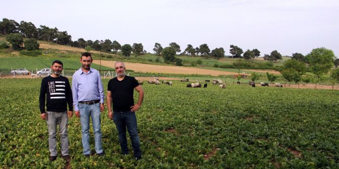 Bu Çiftlik Ziyaretçi Akınına Uğruyor