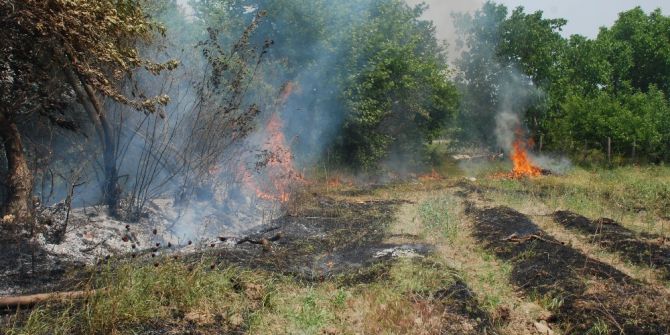 Bahçeler Arasında Orman Yangını