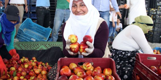 Türkiye’nin Meyve Deposu Mersin’de Turfanda Meyve Hasadı Başladı