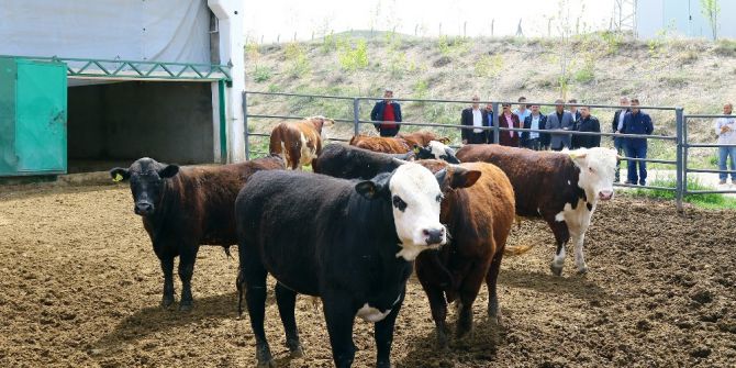 Yalçın’dan Votaşve Asfalt Şantiyesine Ziyaret