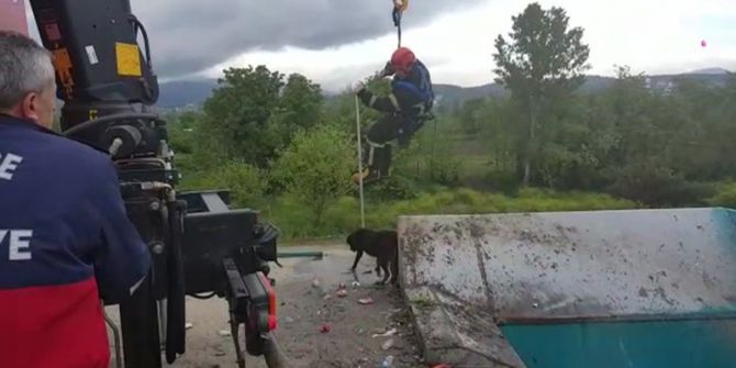 Çöpe Düşen Köpeği İtfaiye Kurtardı