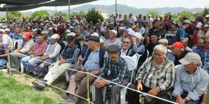 Burhaniye Güreşlerinde Fatih Atlı Başpehlivan Oldu