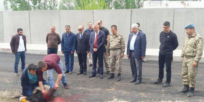 Yeni Güvenlik Noktası İçin Kurban Kesildi