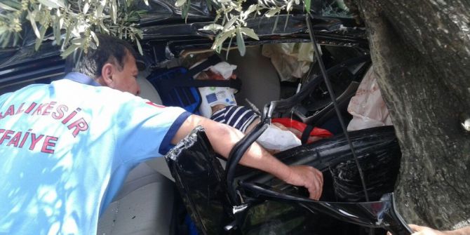 Tarlaya Uçan Otomobil Zeytin Ağacına Çarparak Durabildi: 3 Yaralı