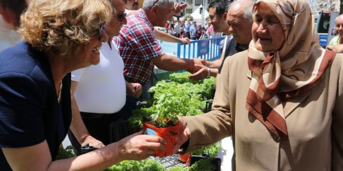 Manisa’da Annelere 5 Bin Adet Fesleğen Dağıtıldı