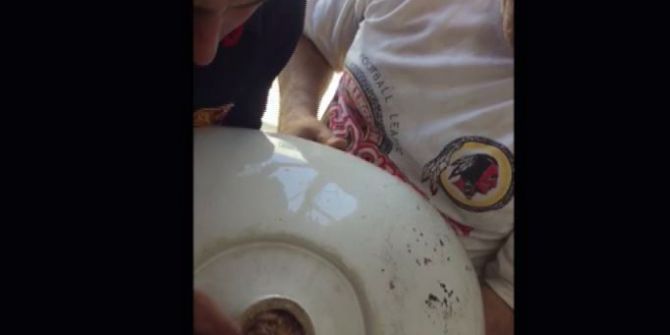 Akla Gelmeyen Şey Yavru Kedinin Başına Geldi