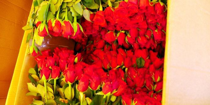 Ayvalık Sebze Ve Meyveciler Anneleri Unutmadı