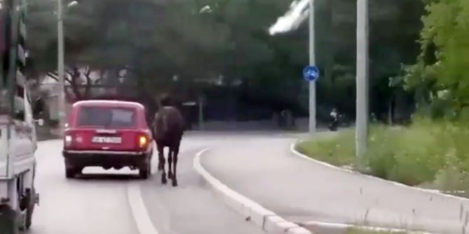 Atı Aracının Arkasına Bağlayıp Sürükledi