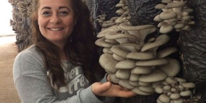 Bu Mantar Sürekli Tüketildiği Takdirde Kanser Hastalarının Sorunlarını Azaltıyor