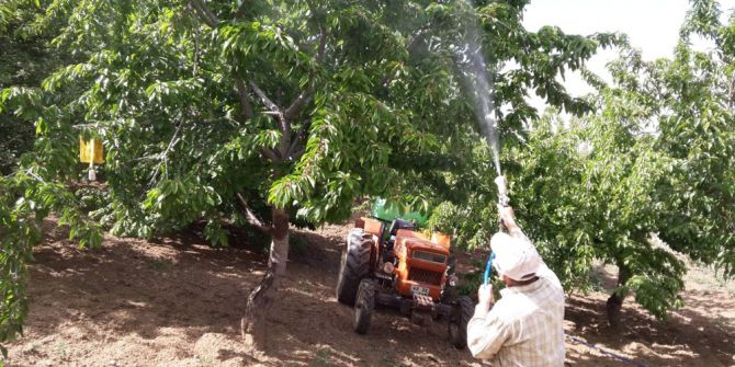 Meyve Bahçelerinde Zirai Mücadele