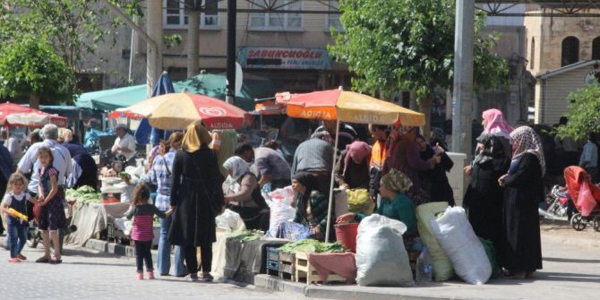 Asma Yaprağına Yoğun İlgi
