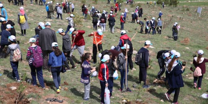 İldem Bölgesine 500 Çam Fidanı Dikildi