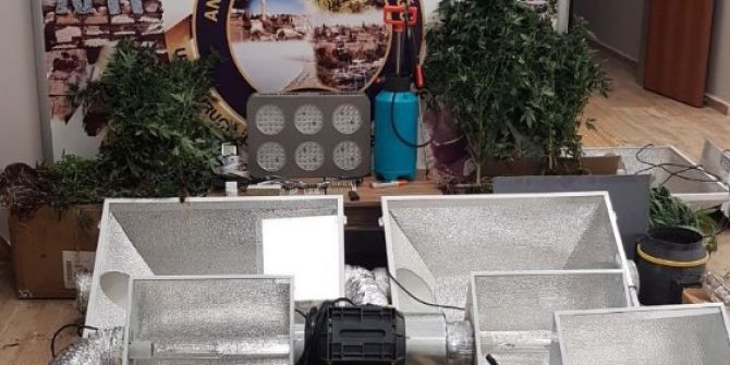 Apartman Dairesinde 223 Kök Hint Keneviri Ekmiş