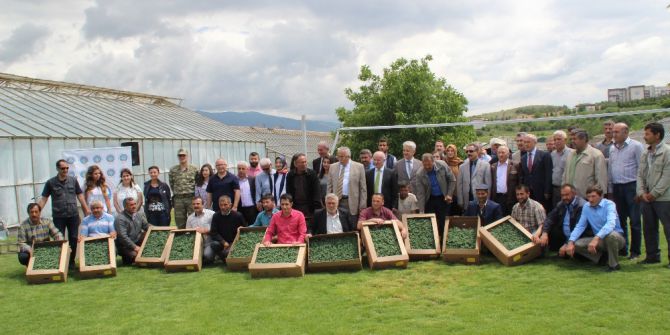 Tokat’ta 1.5 Milyon Sebze Fidesi Dağıtılacak