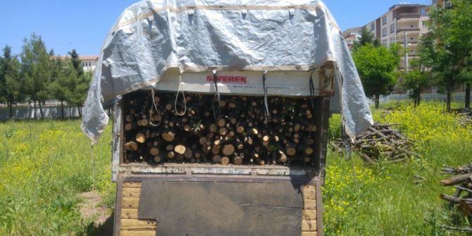 Kaçak Meşe Ağacı Kesen İki Kişiye Para Cezası Uygulandı