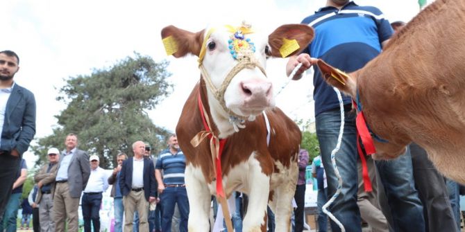 Arnavutköy’de “Çiftçiler Bayramı” Kutlandı