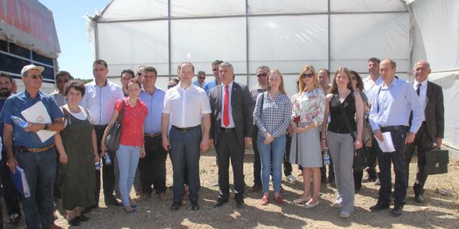 Rusya Tarım Bakanlığı Heyeti Serik’teki Seraları İnceledi