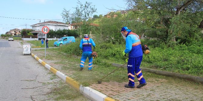 Şile’de Temizlik Hareketi