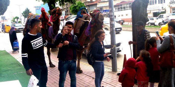 Deveyle Resim Çektirebilmek İçin Yarıştılar