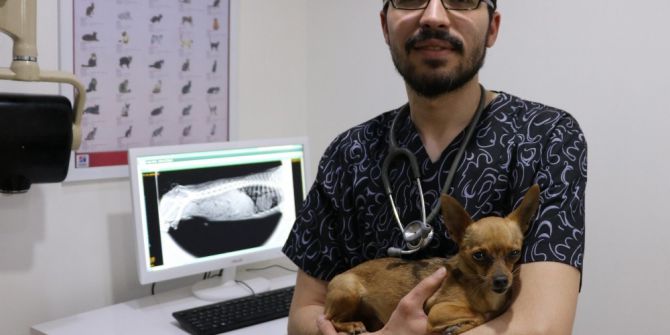 Veterinerlerden Hayvan Sahiplerine Uyarı