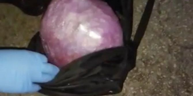 Öğrencinin Sırt Çantasından 2 Kilo 200 Gram Esrar Çıktı